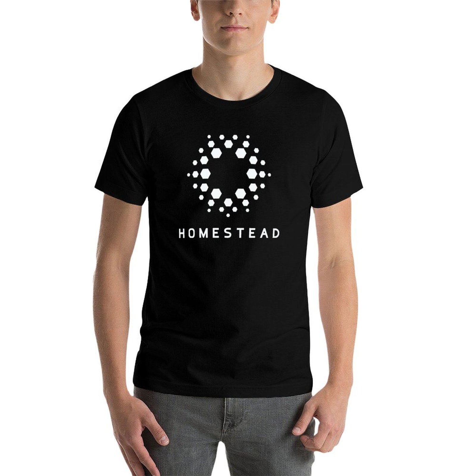 Homestead - パッセンジャーズ - ライト T シ - Homestead Lighting & Decor Oconomowoc のレビューと価格